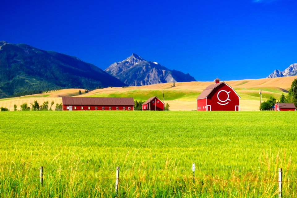 Red Barns and Mountains at Joseph, Wallowa Whitman National Forest
