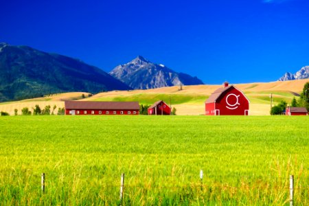 Red Barns and Mountains at Joseph, Wallowa Whitman National Forest photo