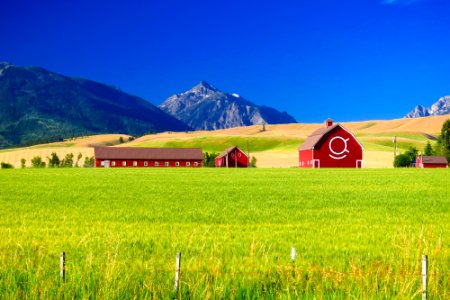 Red Barns and Mountains at Joseph, Wallowa Whitman National Forest