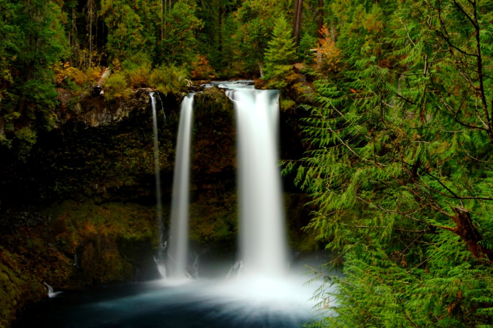 Koosah Falls, Willamette National Forest