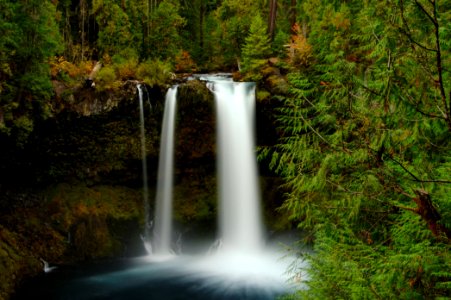 Koosah Falls, Willamette National Forest photo