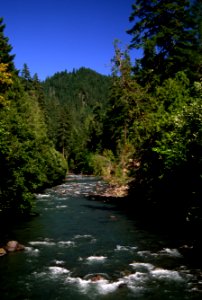 Willamette National Forest, MacKenzie River-2.jpg