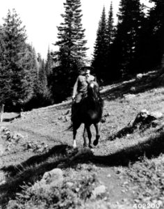 402200 Smith Taylor, Willamette NF, OR 1934 photo