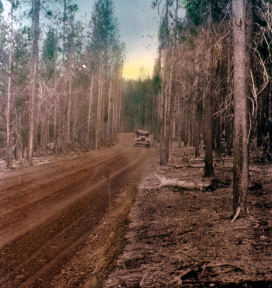 213077 Big Camas Road, Umpqua NF 1926
