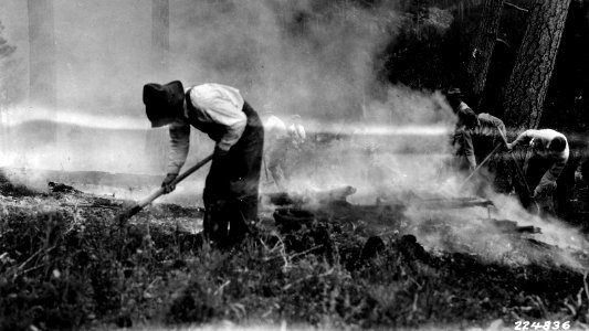 224836 Building Fire Line by Hand
