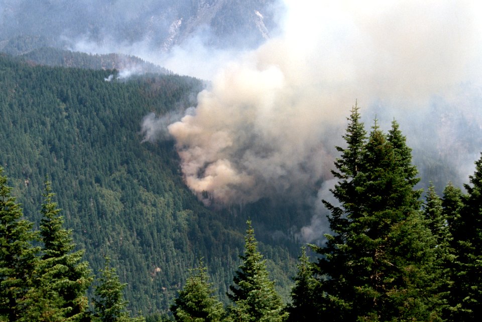082 Rogue River-Siskiyou National Forest, Biscuit Fire