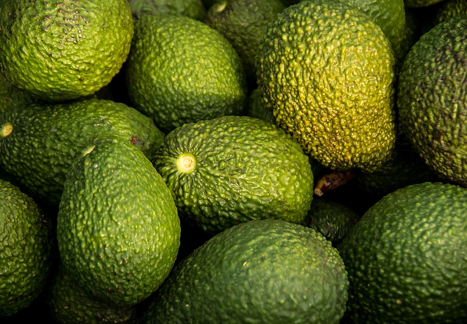 Green harvest picked