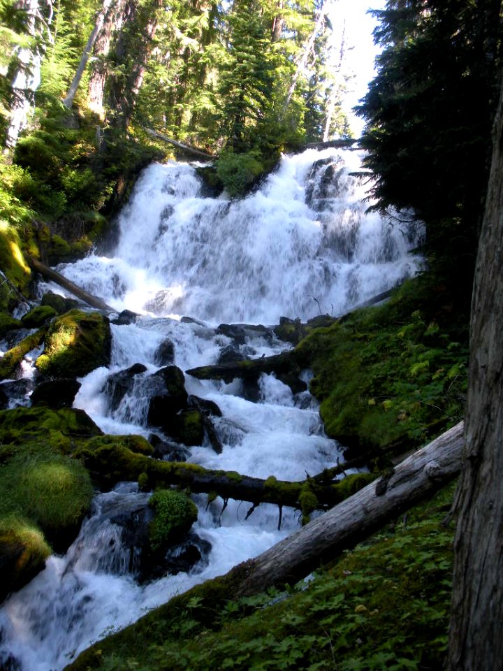 Indian Holes Falls, Willamette National Forest