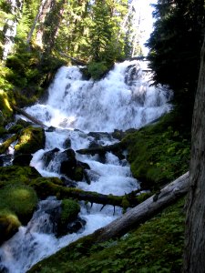 Indian Holes Falls, Willamette National Forest photo
