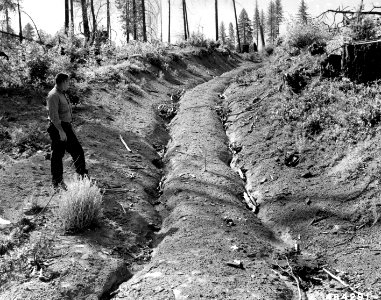 484291 Logging Road Erosion, Umpqua NF, OR 1957 photo