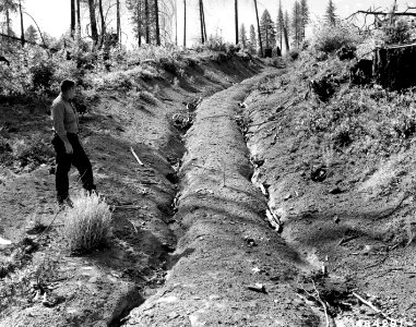 484291 Logging Road Erosion, Umpqua NF, OR 1957