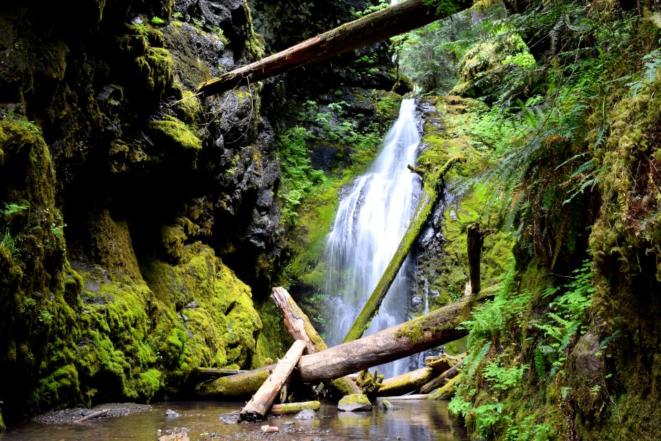 Lower Trestle Falls, Umpqua National Forest