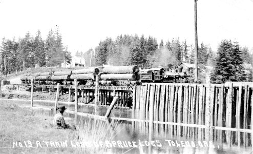 No. 19 A Train Load of Spruce Logs Toldeo Ore. photo