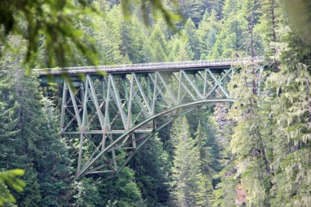 High Steel Bridge, Olympic National Forest photo
