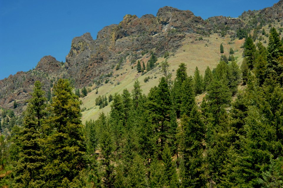 Fields Peak and Forest-Malheur