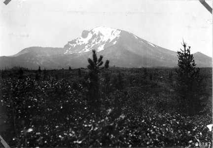 X-5-19 Mt. McLoughlin, viewed from Cat Hill, ca. 1910