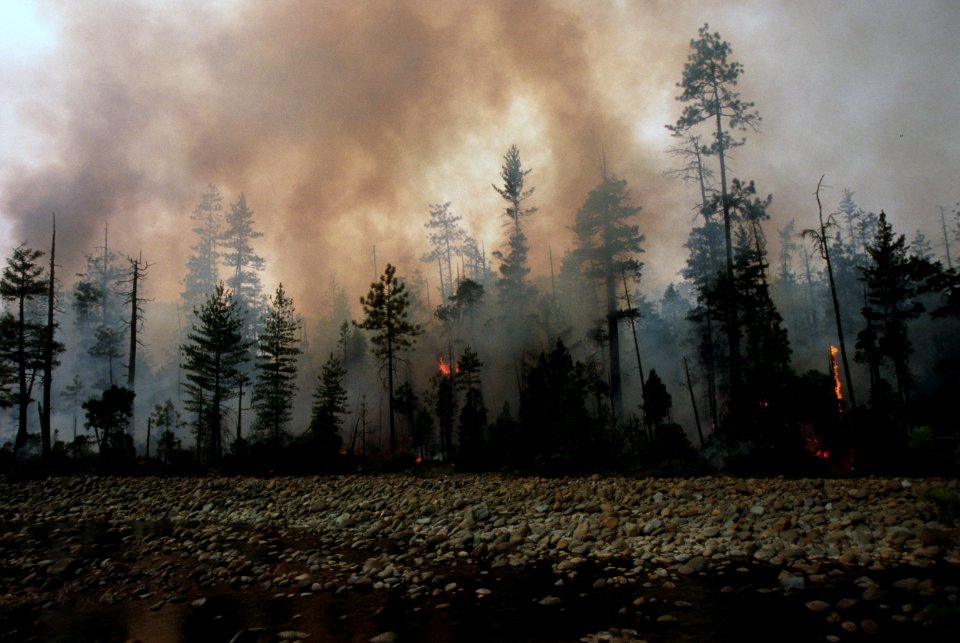 125 Rogue River-Siskiyou National Forest Biscuit Fire