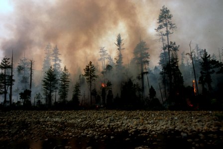 125 Rogue River-Siskiyou National Forest Biscuit Fire photo