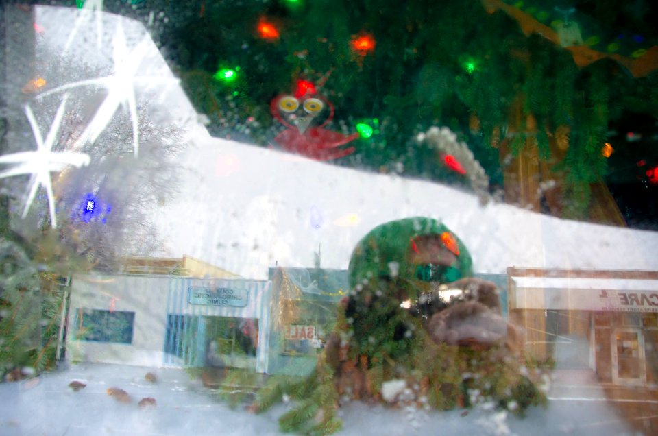 2013 Capitol Christmas Tree- Reflections