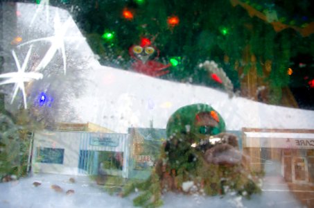 2013 Capitol Christmas Tree- Reflections photo