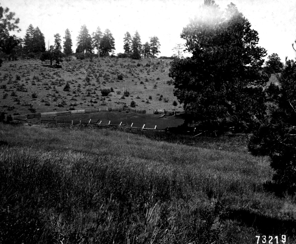 73219 Frank McGirr Sheep Corral, Umatilla NF, OR 1909.JPG