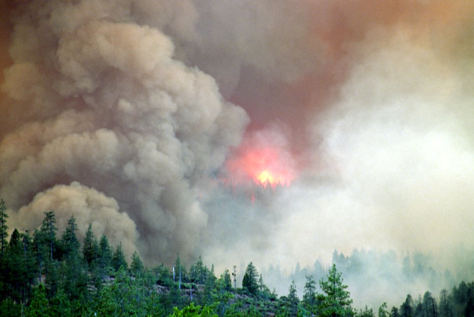 104  Rogue River-Siskiyou National Forest Biscuit Fire