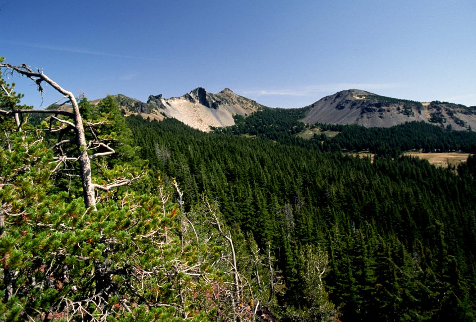 Forest and Hills, Umpqua National Forest.jpg