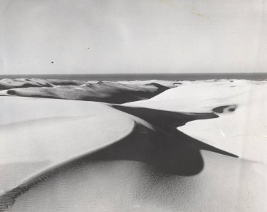 Rolling Dunes-Siuslaw photo