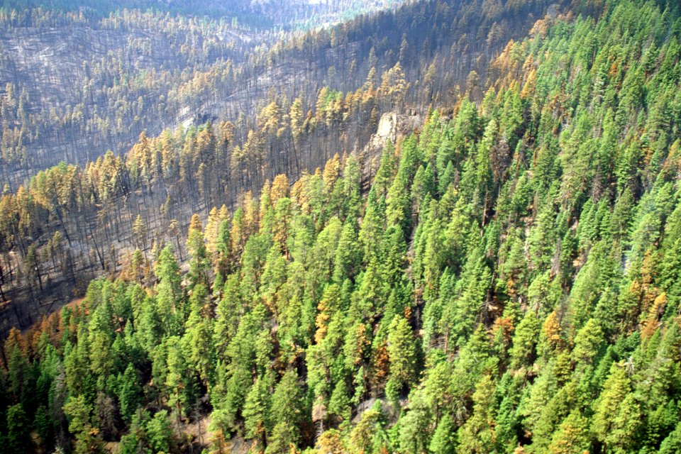 506 Mill Creek prescribed Natural fire , Ochoco National Forest