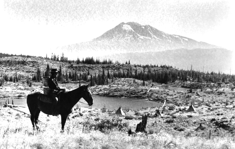 385218 Huckleberry Area with Mt. Adams, Columbia NF, WA 1937