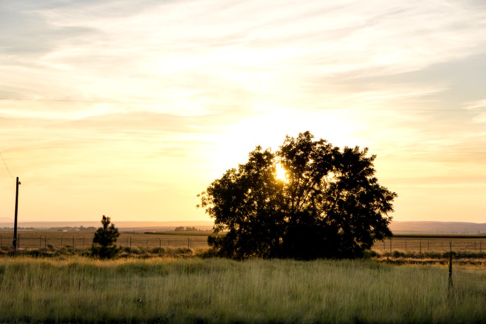 Eclipse and Sunset