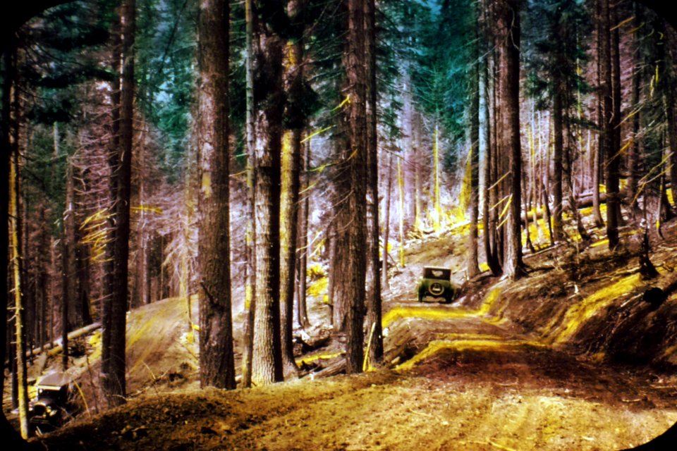 213064 Big Camas Road, Umpqua NF 1926