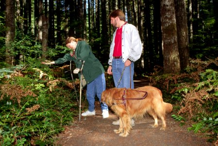 Recreation accessibility, Gifford Pinchot National Forest-2.jpg photo