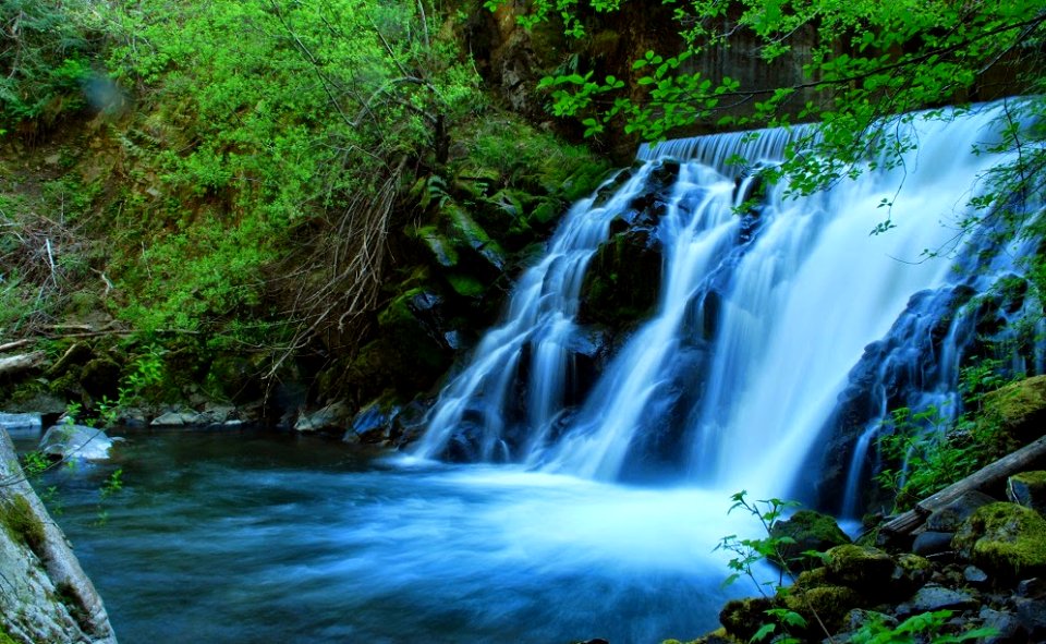 Waterfall in Olympic National Forest