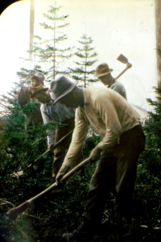 191023 Trenching a Fire, Mt. Hood NF