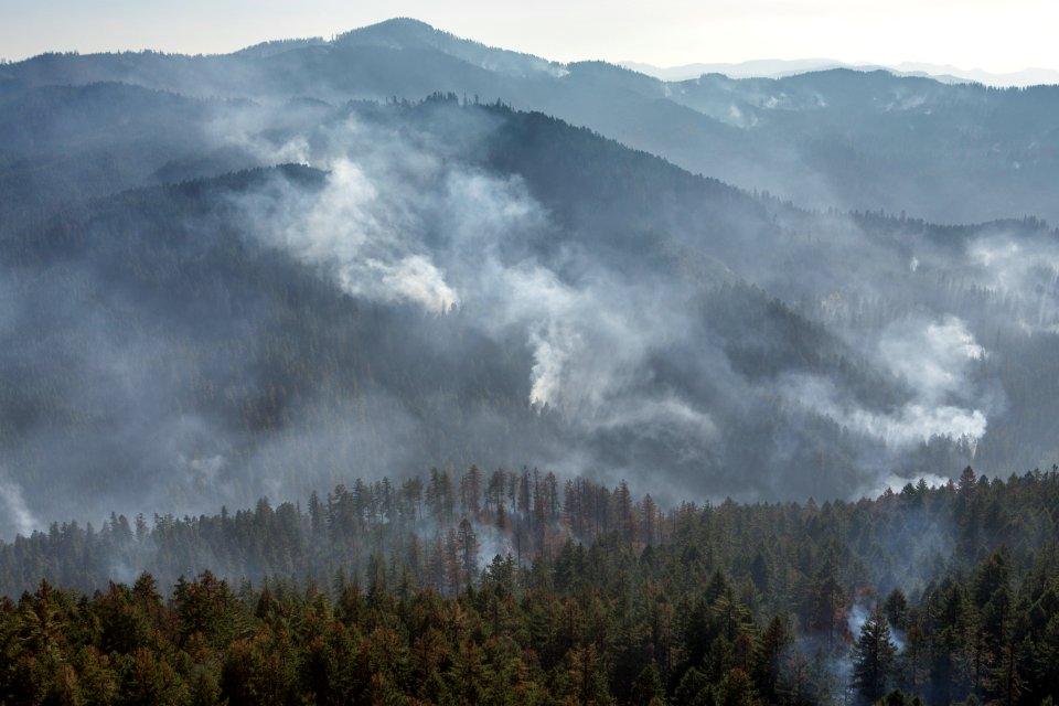 Umpqua National Forest Fires, 2017