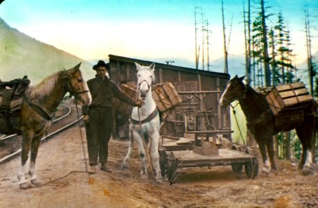 Mt. Hood NF - Packing Supplies, OR c1930 photo