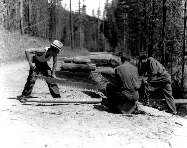 340388 CCC on Sun Lake Road, Coville NF, WA 1936