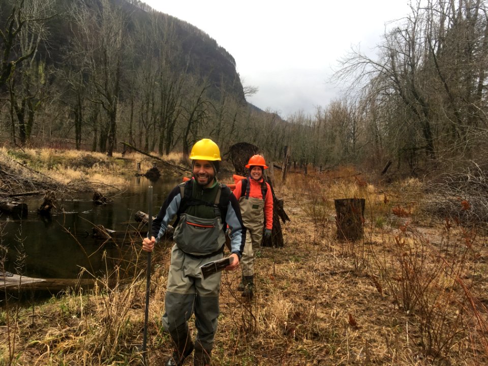 Scientists examine Horsetail Wetland Restoration site with happy faces.