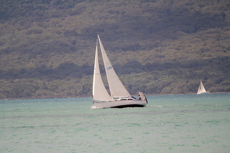 waitemata Sailing New Zealand