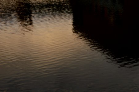 DSC 0111