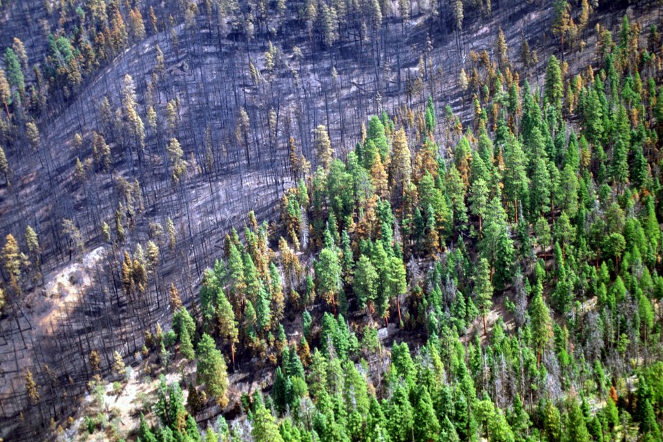 505 Mill Creek prescribed Natural fire , Ochoco National Forest
