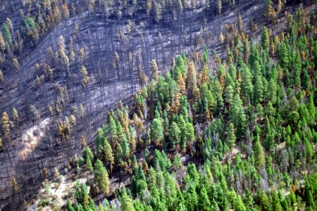 505 Mill Creek prescribed Natural fire , Ochoco National Forest