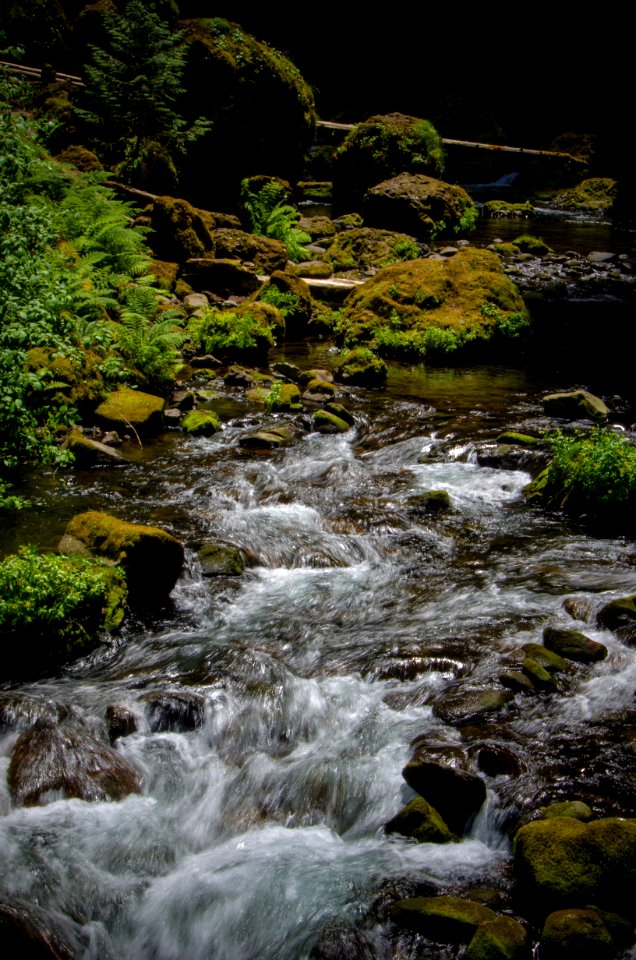 Tanner Creek Below Wahclella Falls-Columbia River Gorge