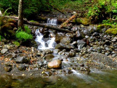 West fork of the Humptulips River, Olympic National Forest