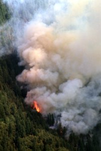 081 Rogue River-Siskiyou National Forest, Biscuit Fire