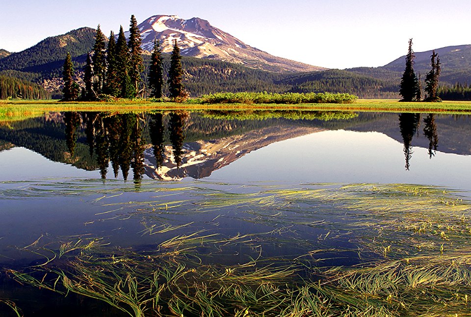 REEDS AT SPARKS LAKE WITH SOUTH SISTER-DESCHUTES