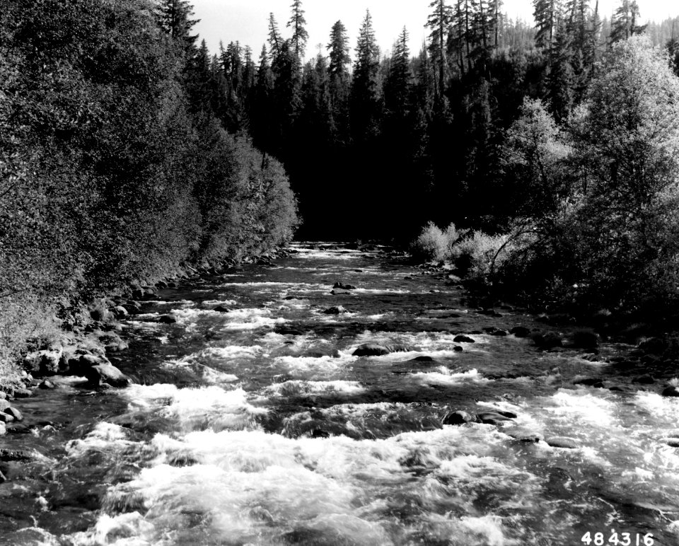 484316 North Santiam River from Rainbow Bridge, Willamette NF, OR 1957