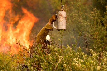 Firefighters conducting burnout operation