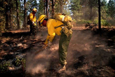 202 McKay Butte Fire, Deschutes National Forest photo